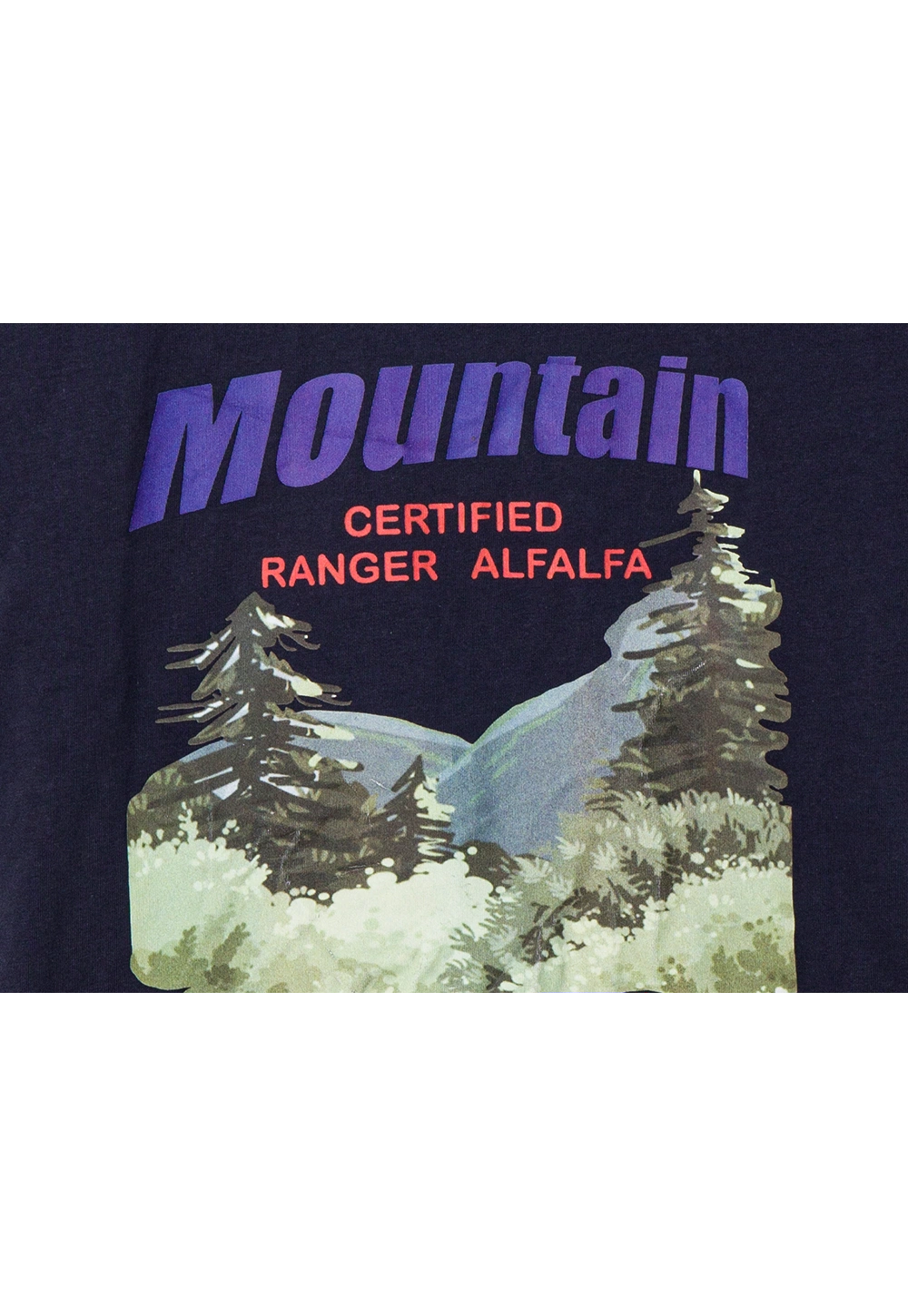 Women's Graphic Print Mountain T-Shirt