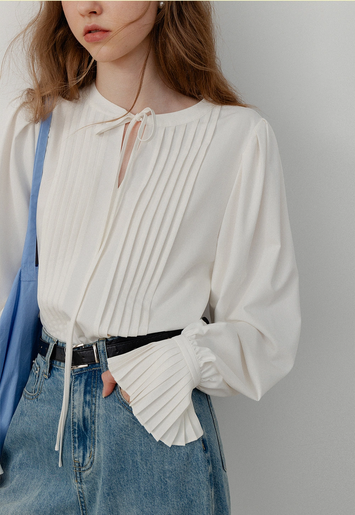 Pleated Sleeve Tie-Neck Long Sleeve Blouse