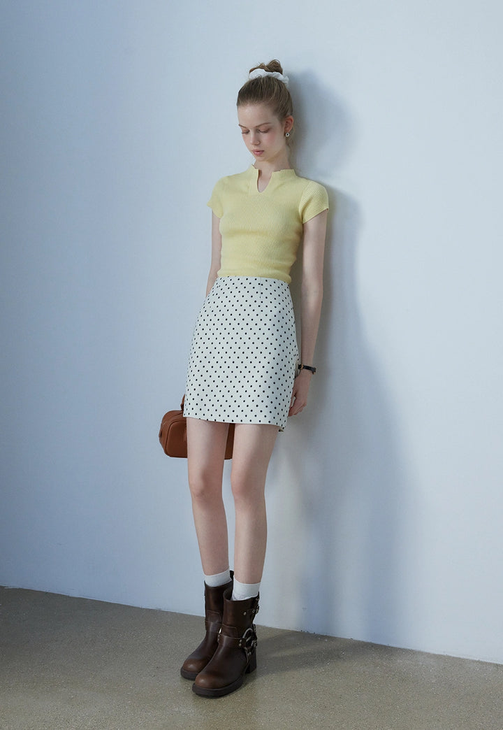 Women's Polka Dot Mini Skirt