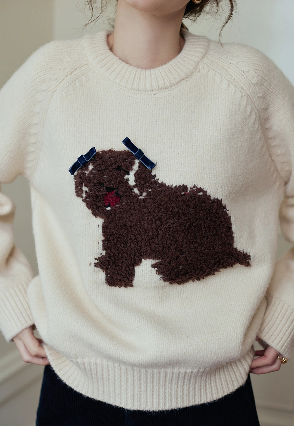 Women's Crew Neck Dog Patterned Sweater