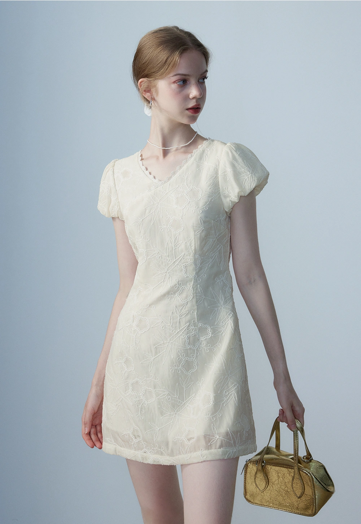 Women's Lace Embroidered Short Sleeve Dress