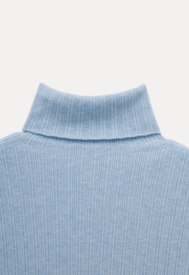 Women's Ribbed Turtleneck Sweater