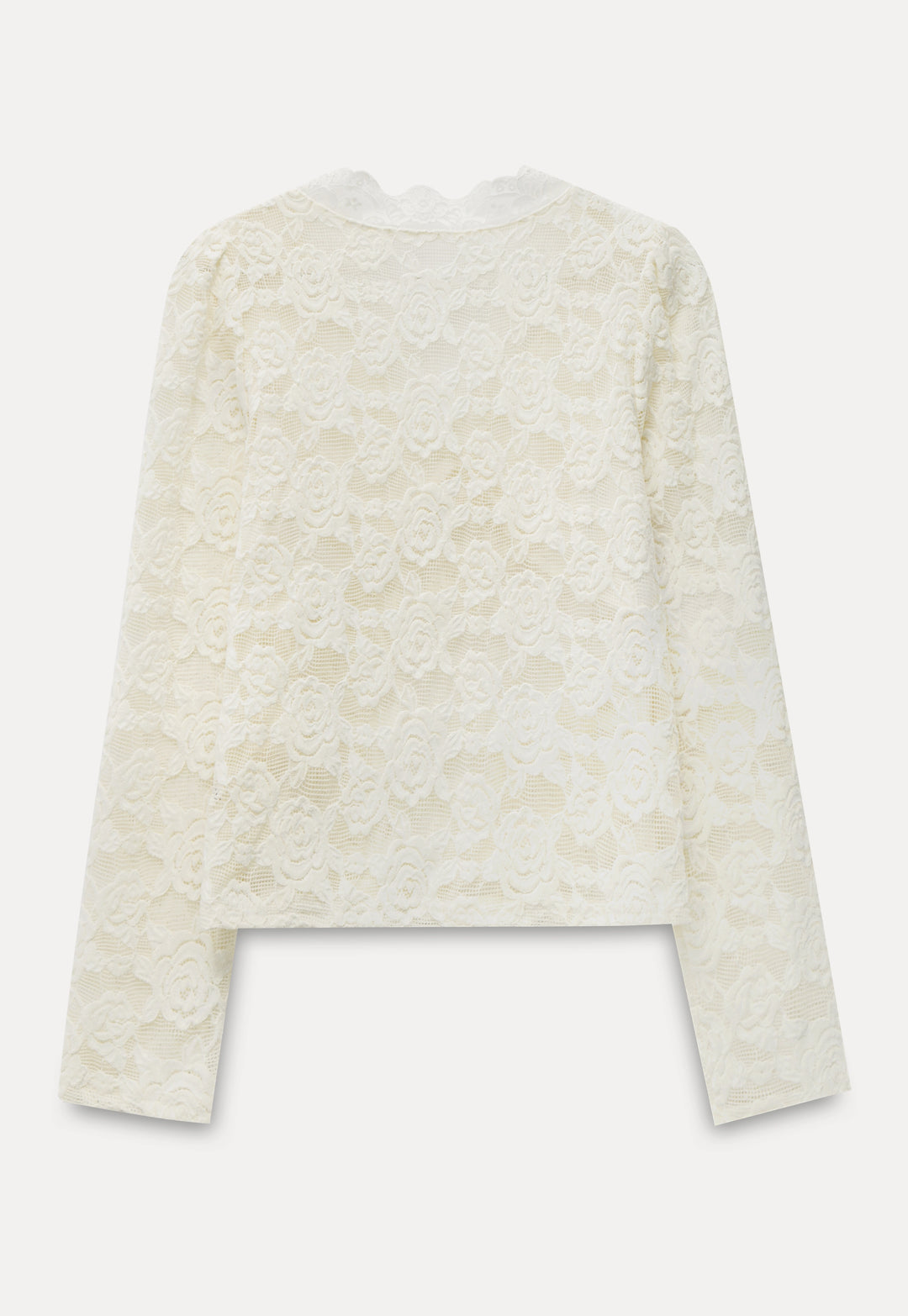 V-Neck Floral Lace Long-Sleeve Top